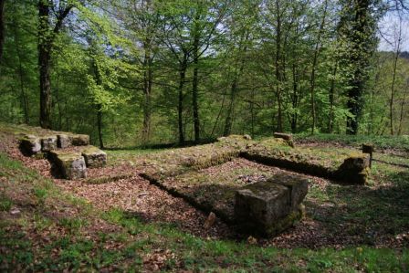 ruine du chateau