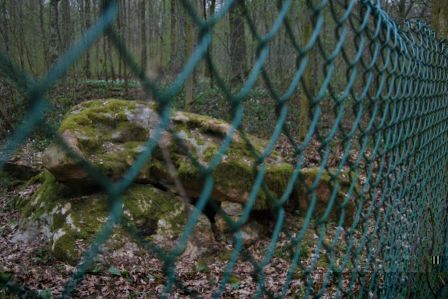 grillage dolmen