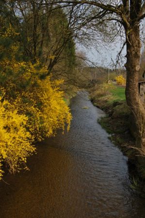 La Rulles ( rivière )