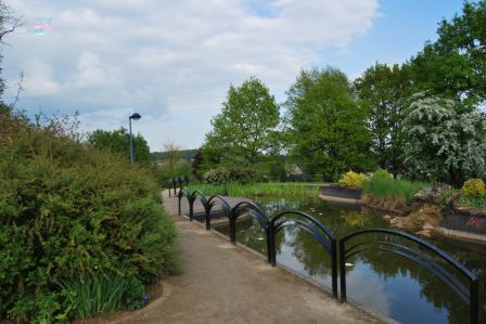 Etang parque foncin