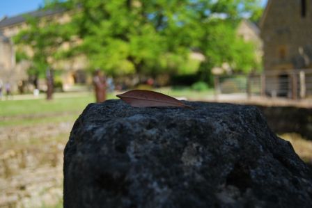 feuille morte orval