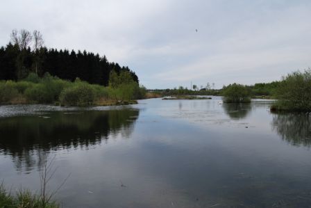 plan d'eau de l ile